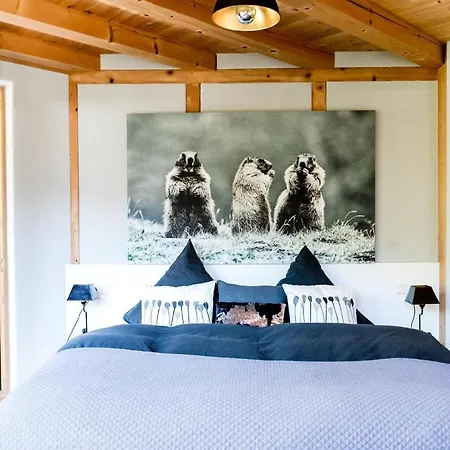 Murmele Going am Wilden Kaiser