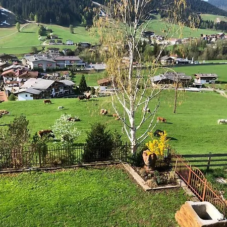 Murmele Going am Wilden Kaiser