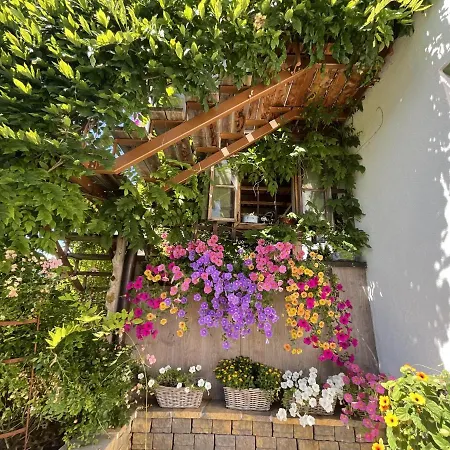 Murmele * Going am Wilden Kaiser