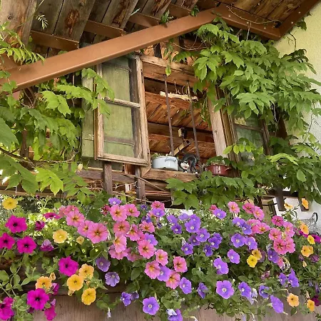 Murmele Apartment Going am Wilden Kaiser