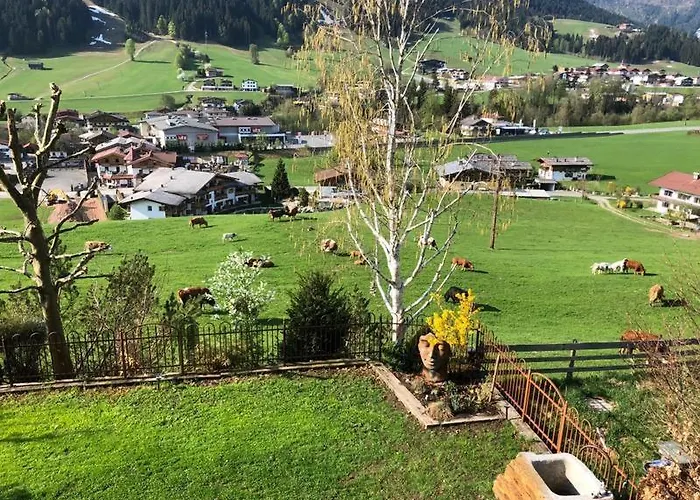 Murmele Going am Wilden Kaiser