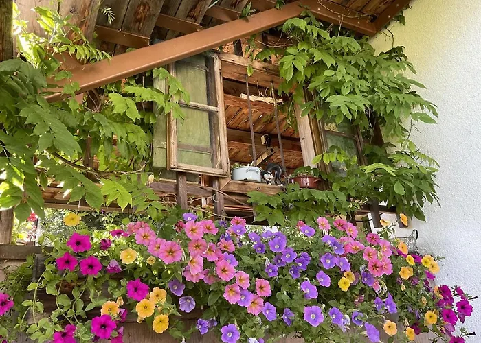 Murmele Appartement Going am Wilden Kaiser